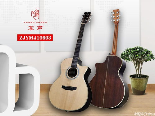 掌聲音樂(lè)器 以品牌戰(zhàn)略驅(qū)動(dòng)，布局千萬(wàn)級(jí)市場(chǎng)新藍(lán)圖