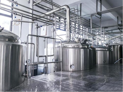 酒香何處尋？—— 傳統酒業的變遷與現代市場挑戰